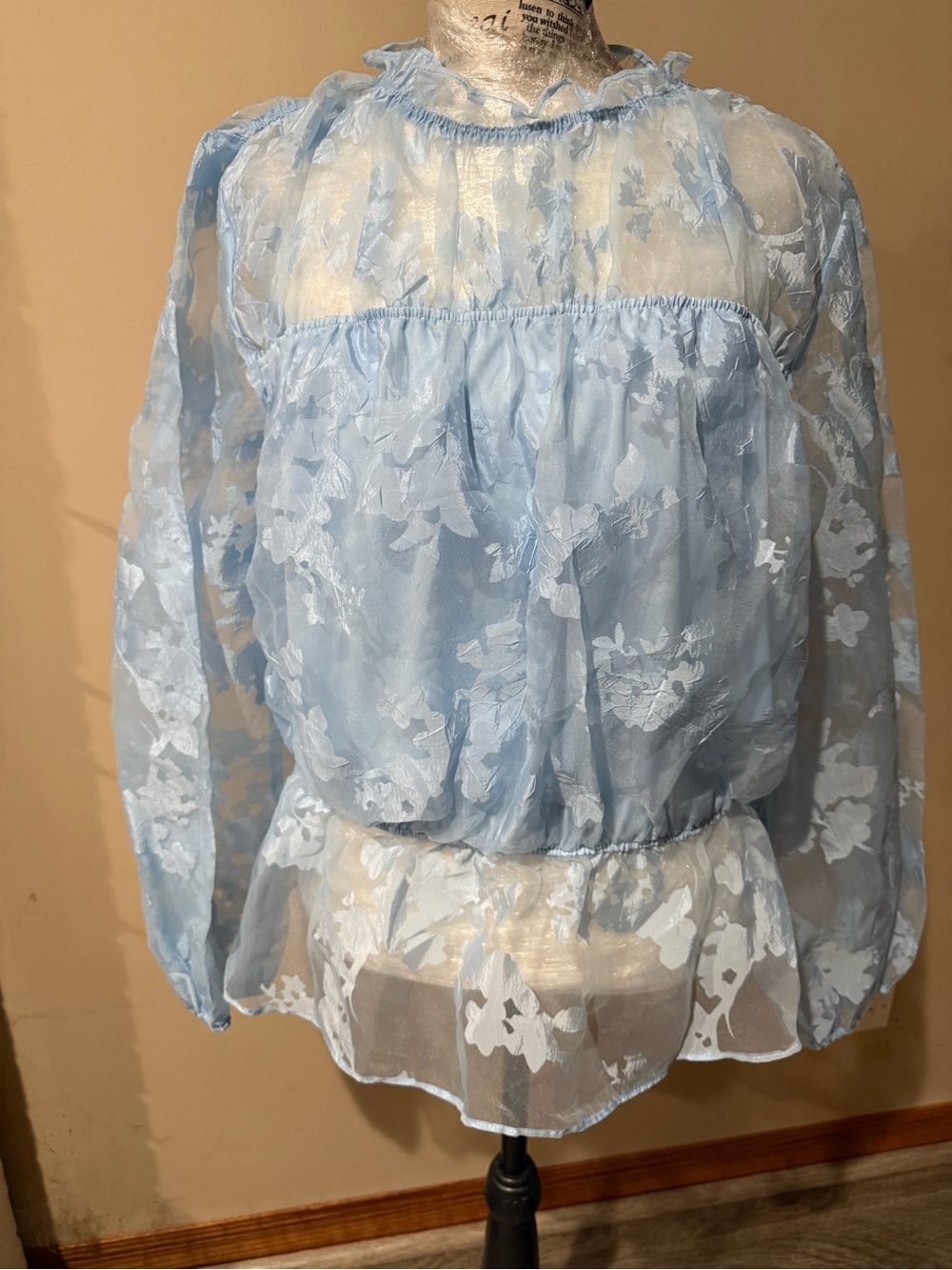 Light Blue Sheer Floral Lace Blouse with Ruffled Neckline